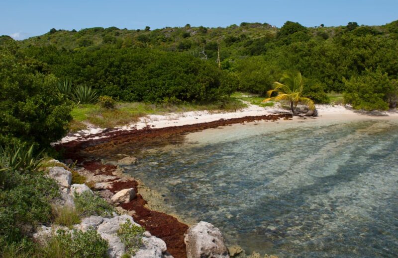 Antigua and Barbuda