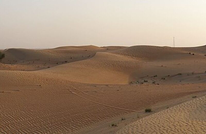 Desert