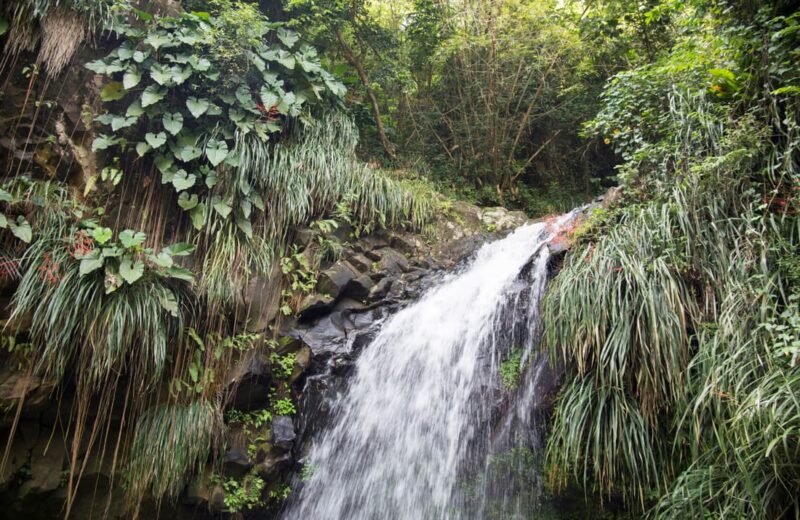 Grenada