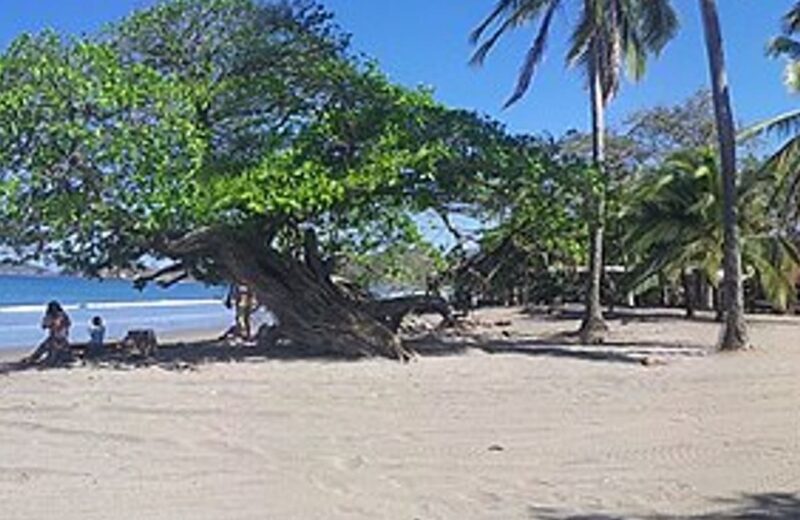 Guanacaste / Nicoya
