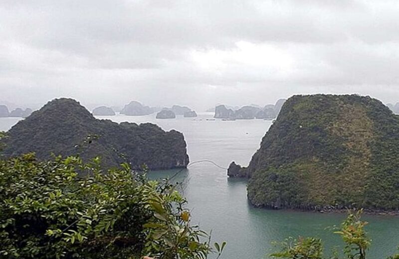Best Time to Visit Vietnam: Month-by-Month Weather & Crowds