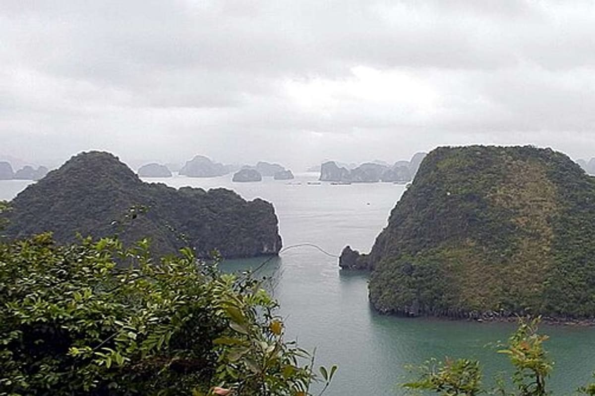 Best Time to Visit Vietnam: Month-by-Month Weather & Crowds