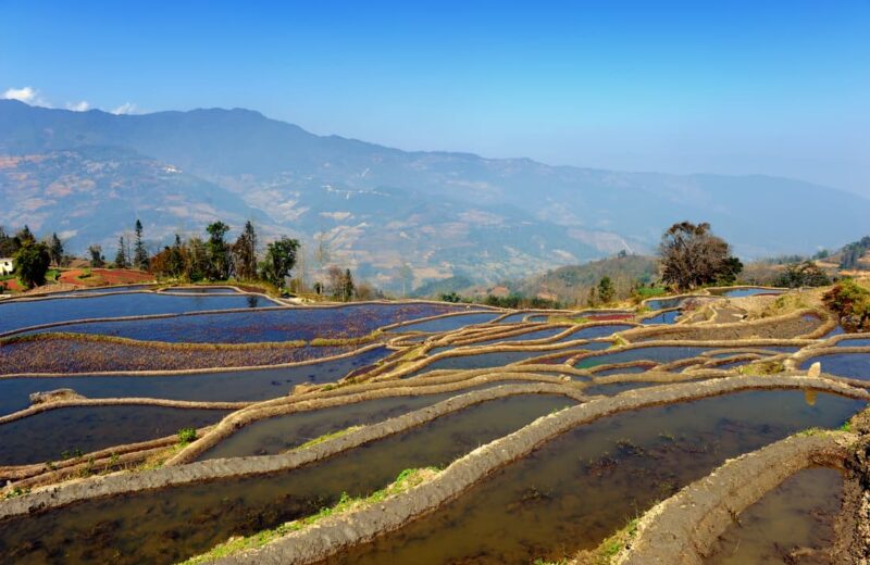 Indonesia