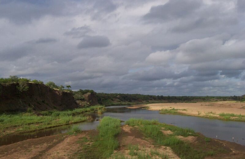Kruger area