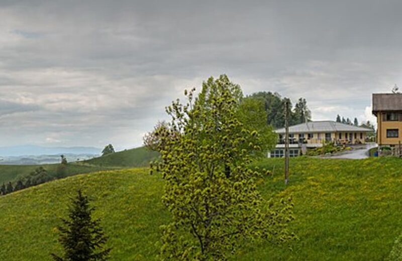 Lucerne