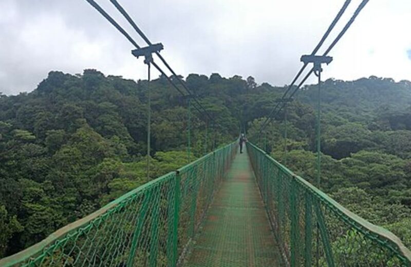 Monteverde