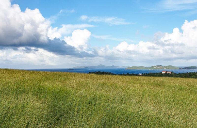 Saint Vincent and the Grenadines