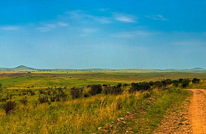 Serengeti