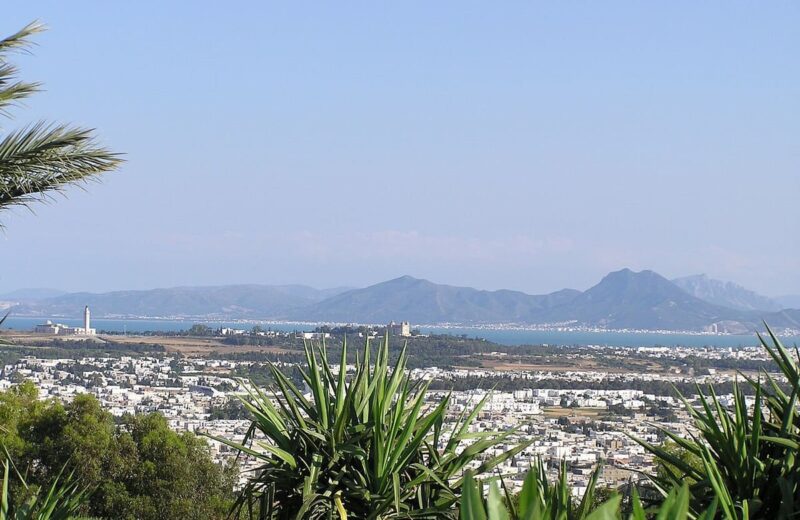 Tunis & Carthage