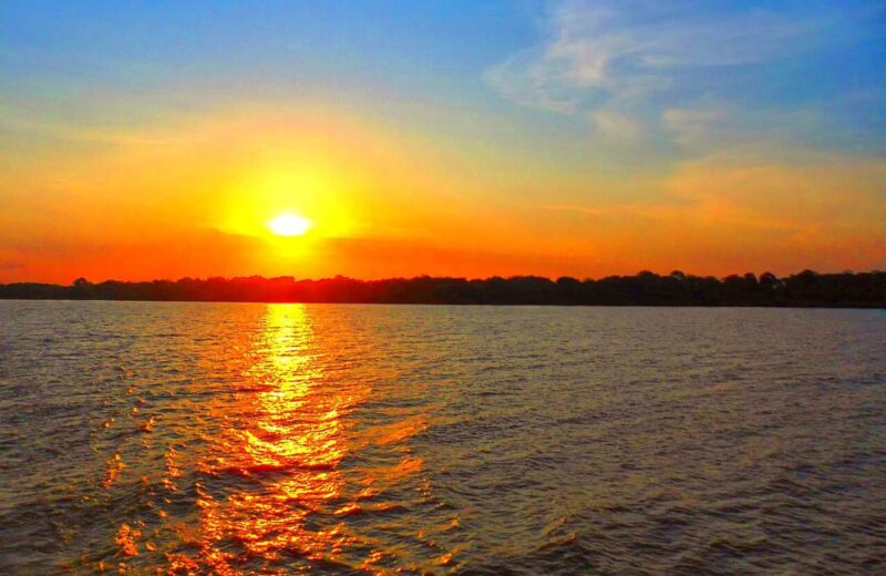Amazon Rainforest (Manaus)