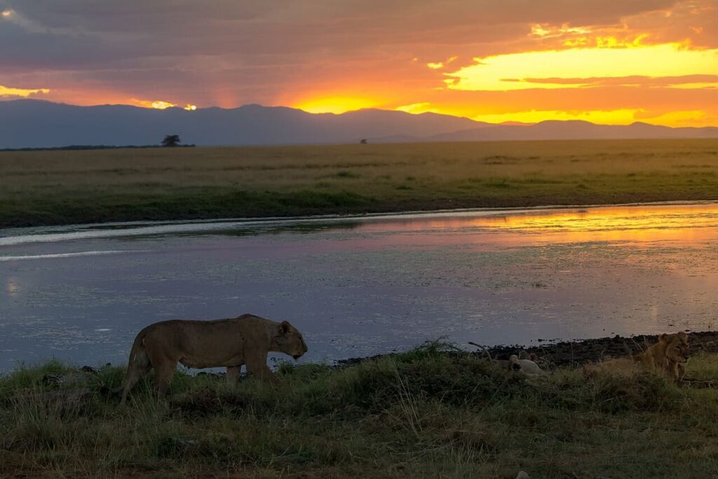 Amboseli National Park