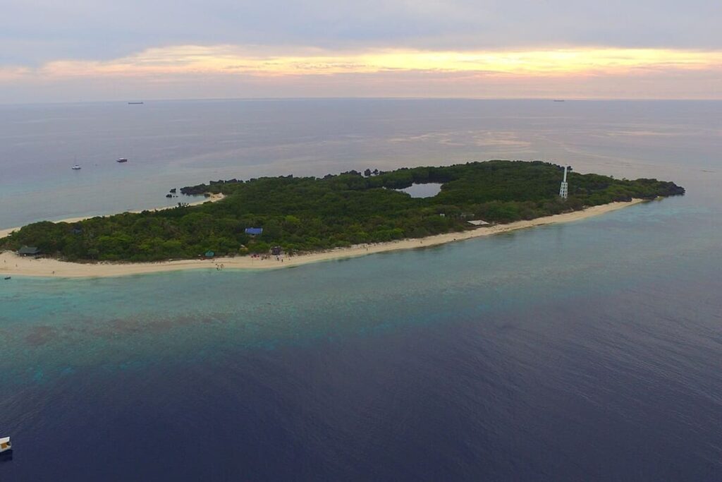 Apo Reef Mangroves