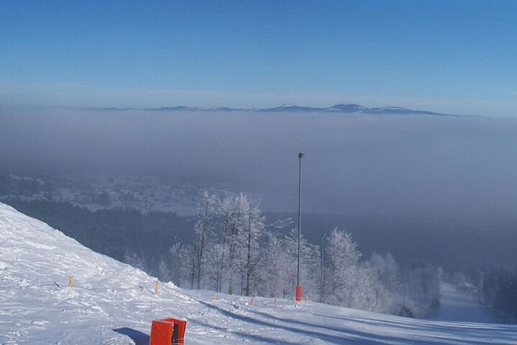 Bavarian Forest