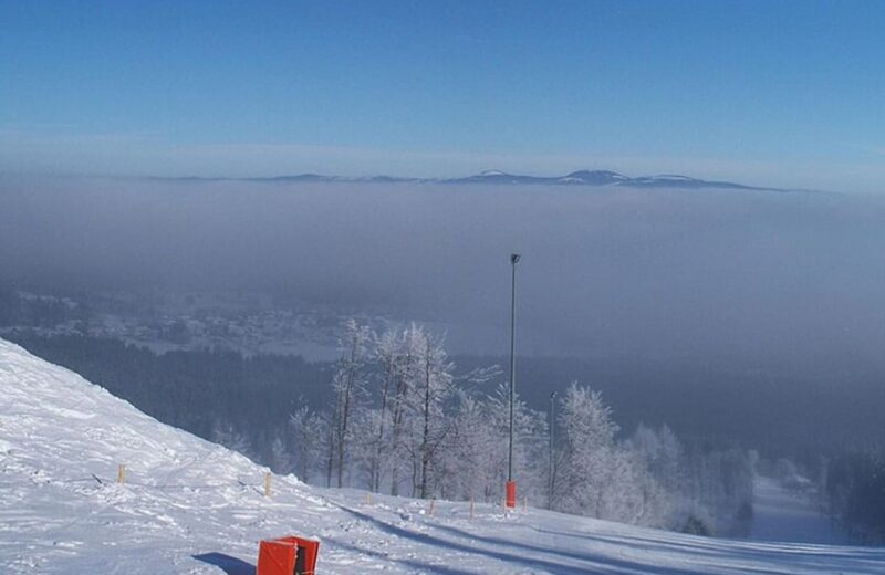Bavarian Forest