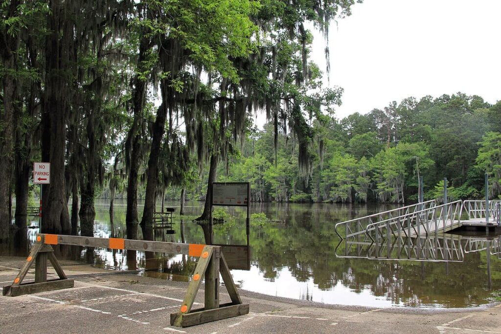 Caddo Lake