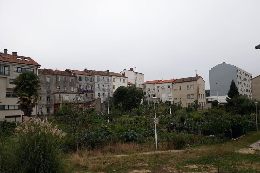 Camino Frances (Camino de Santiago)