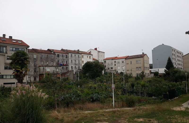 Camino Frances (Camino de Santiago)