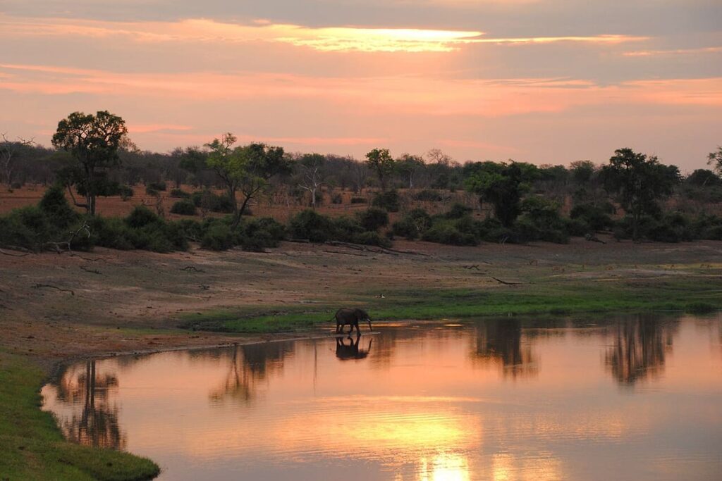 Chobe NP