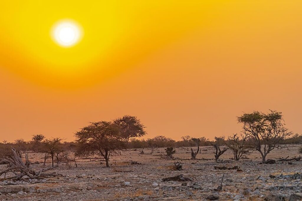 Etosha National Park