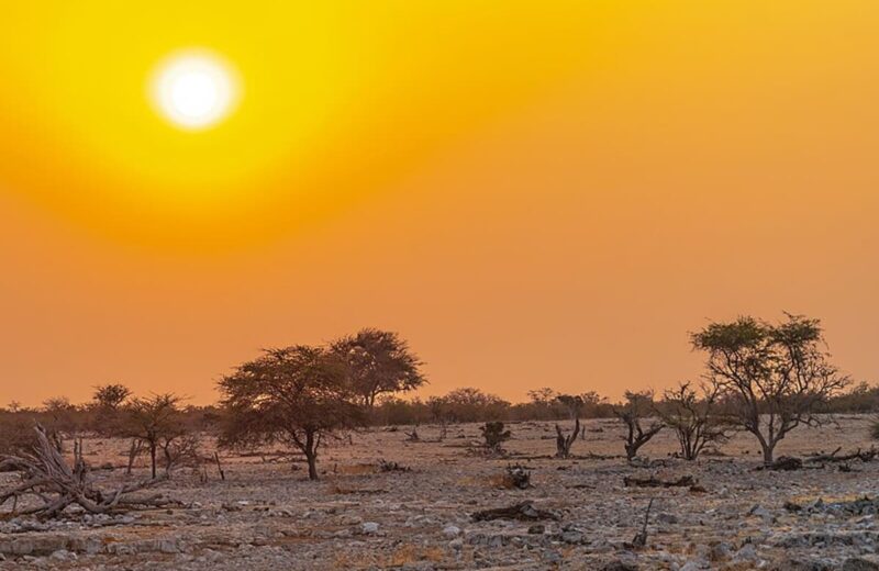 Etosha National Park