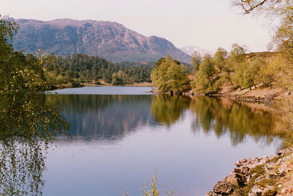 Glen Affric (Caledonian Forest)