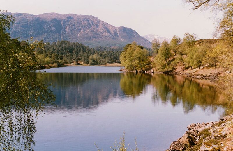 Glen Affric (Caledonian Forest)