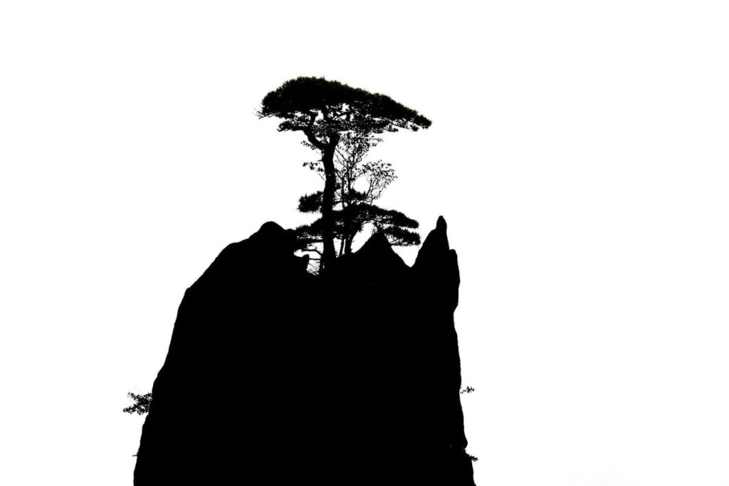 Huangshan Bright Top