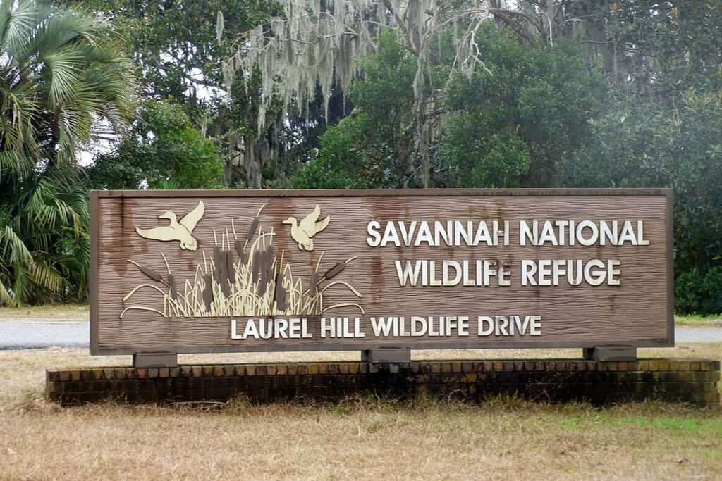 Jasper Wildlife Drive
