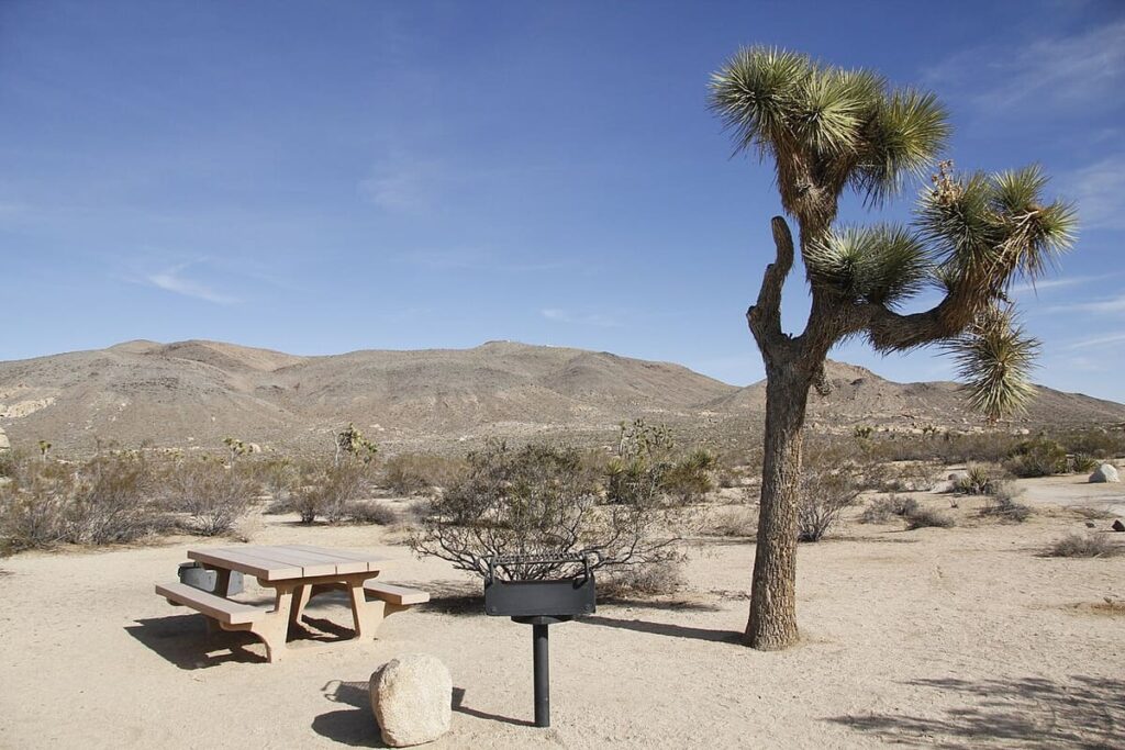 Joshua Tree Campgrounds