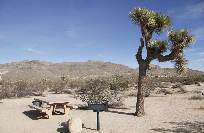 Joshua Tree Campgrounds