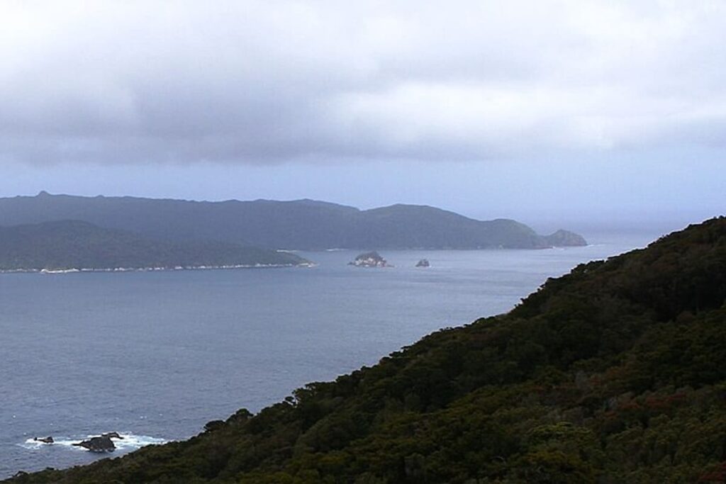 Codfish Island (Kākāpō)