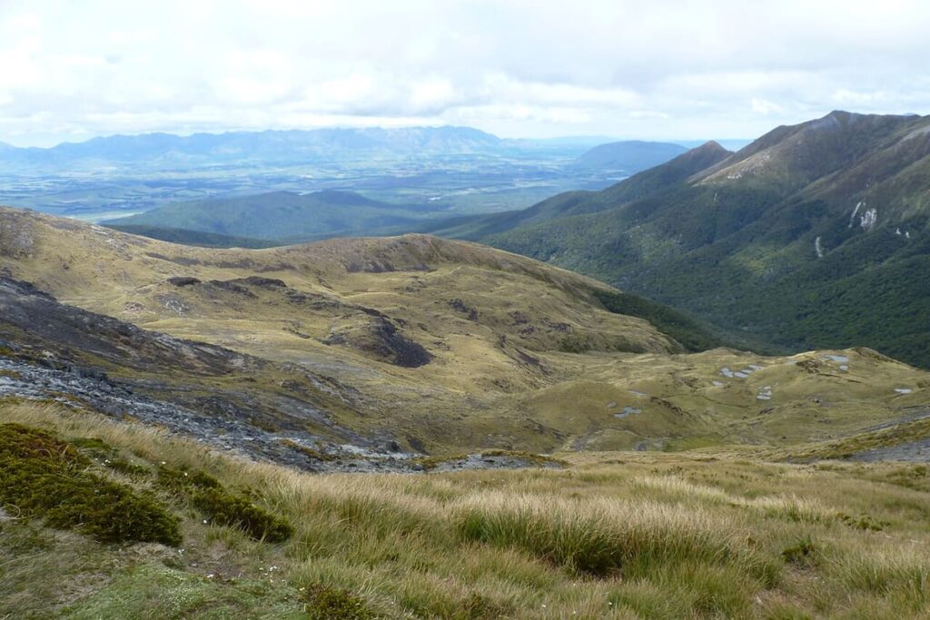 Kepler Track