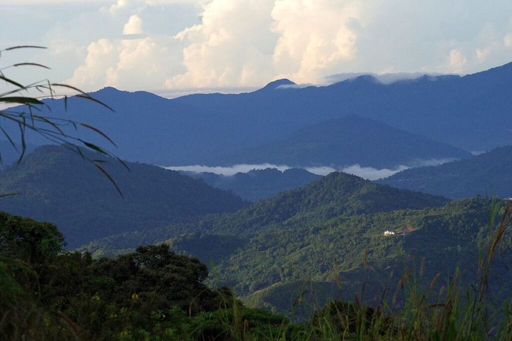 Kinabalu Park Cloud Forest