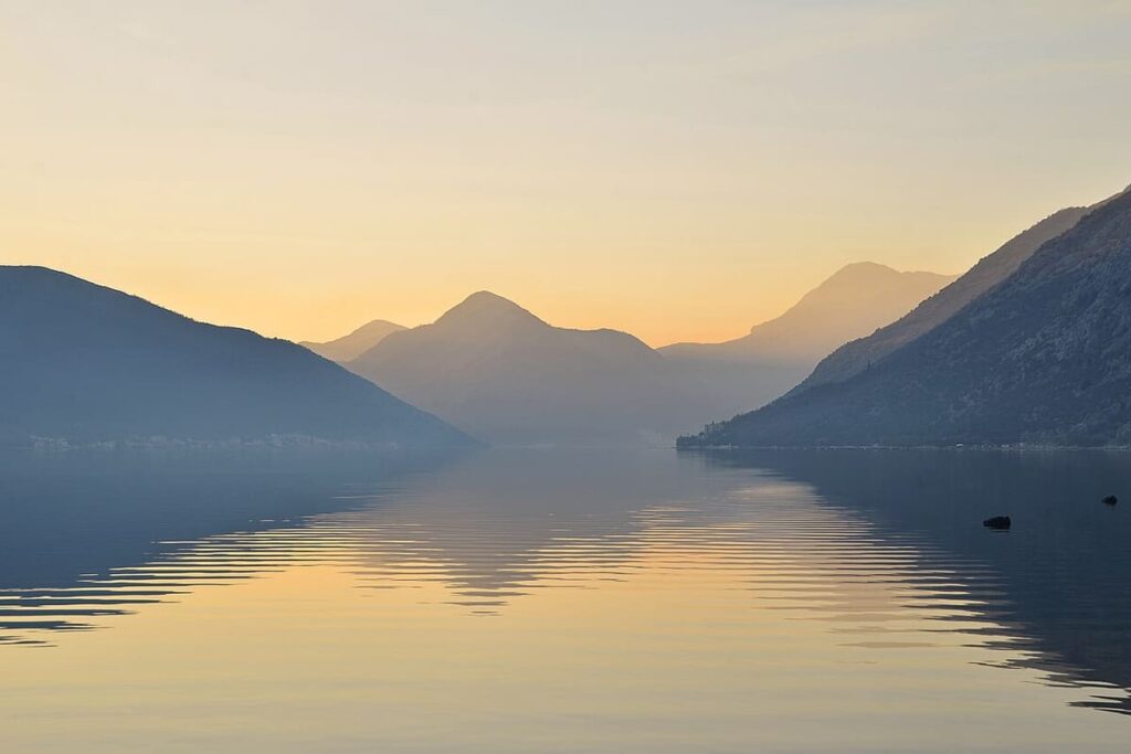 Kotor