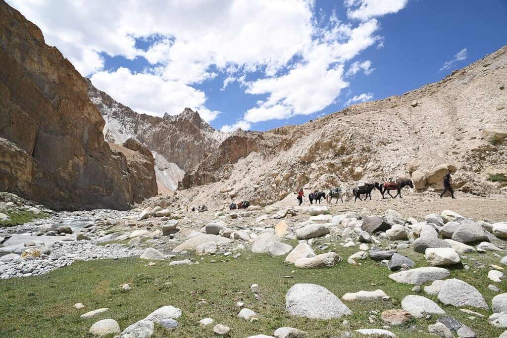 Pangong Tso Camping