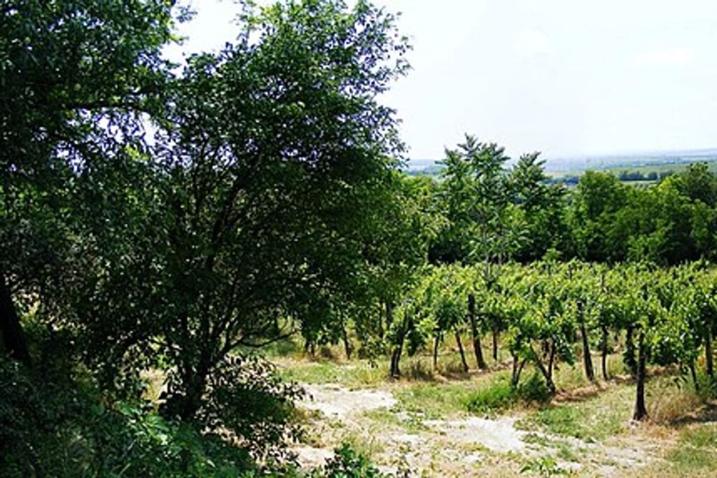 Lake Balaton