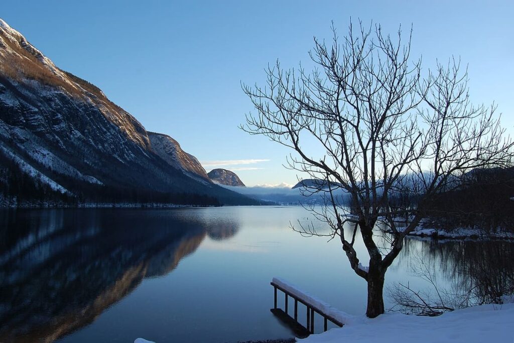 Lake Bohinj Zlatorog Camp