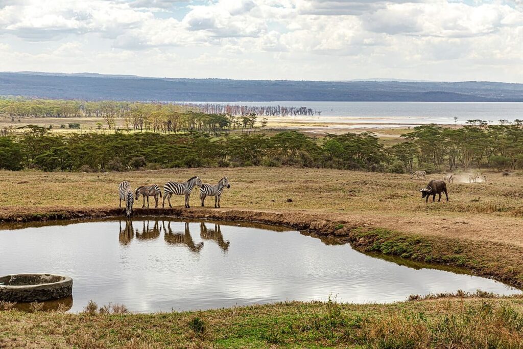 Lake Nakuru