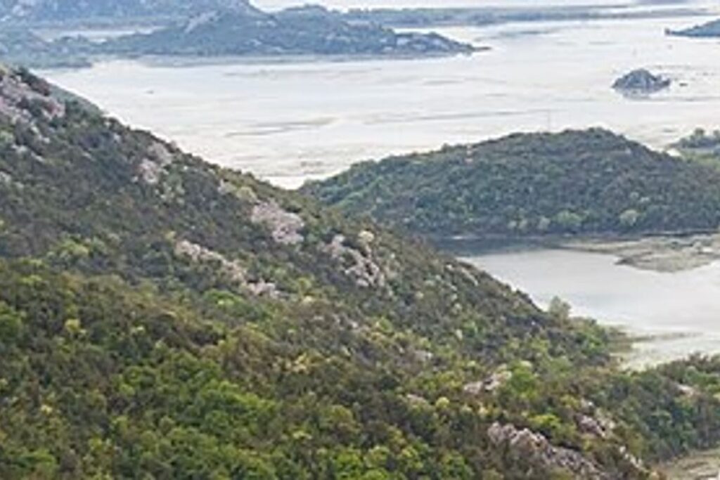Lake Skadar