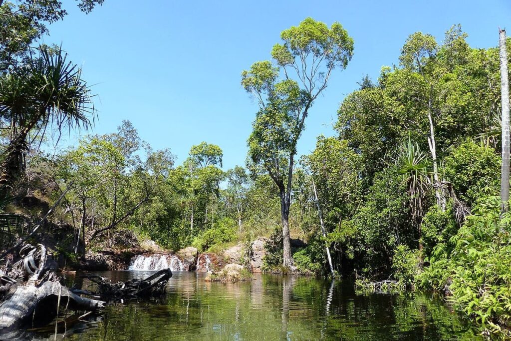Litchfield NP
