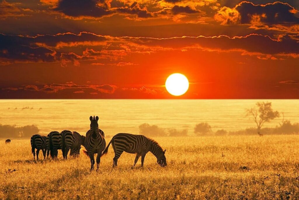 Maasai Mara