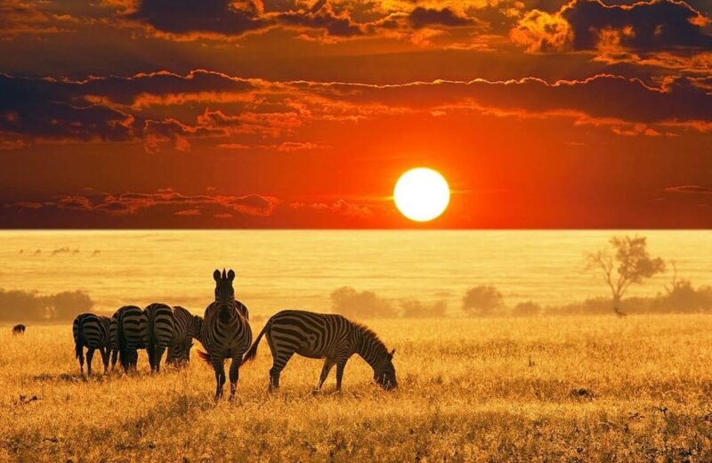 Maasai Mara
