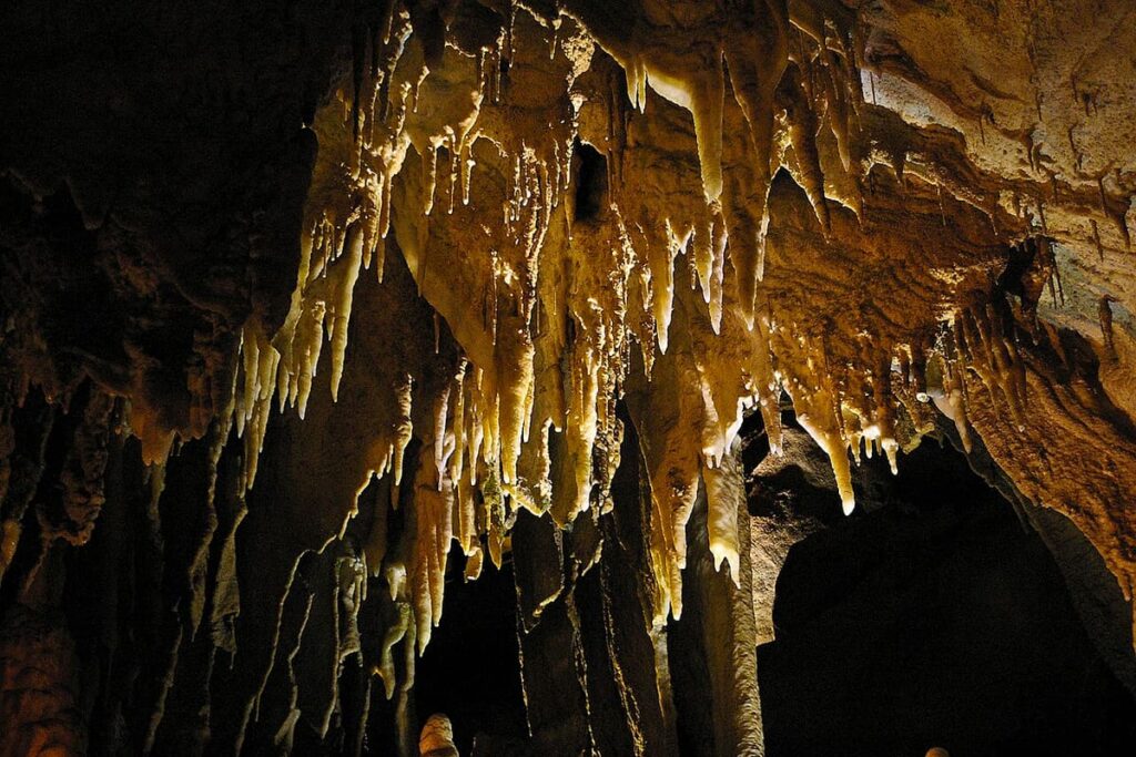 Mammoth Cave