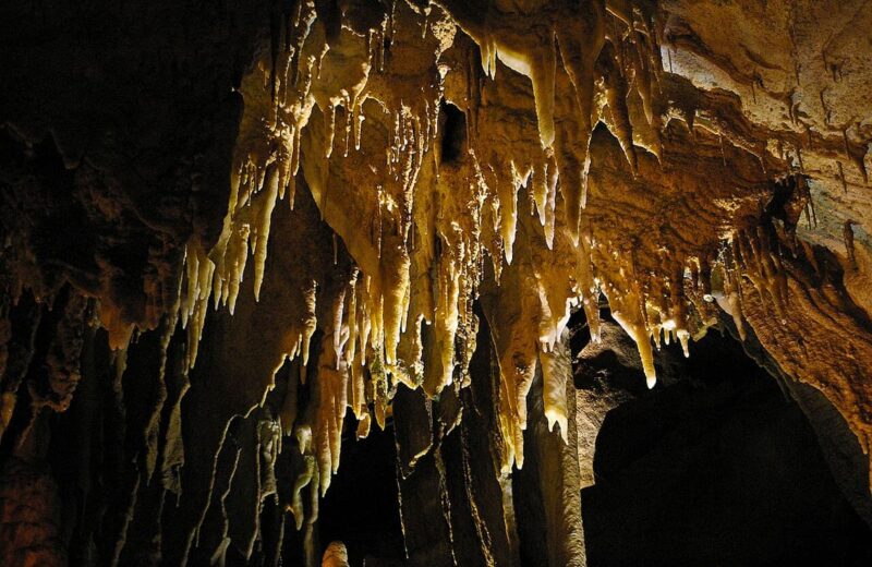Mammoth Cave