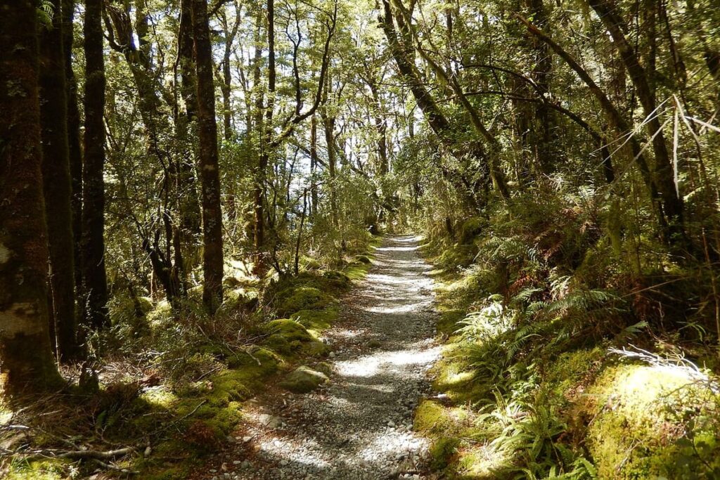 Milford Track