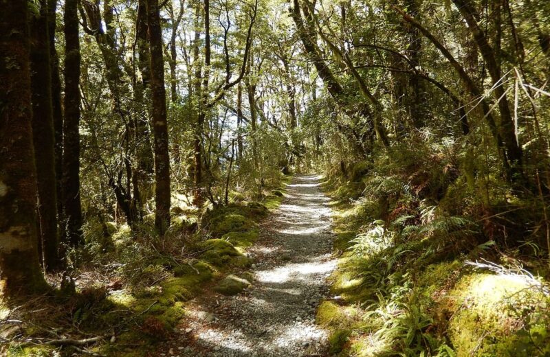 Milford Track