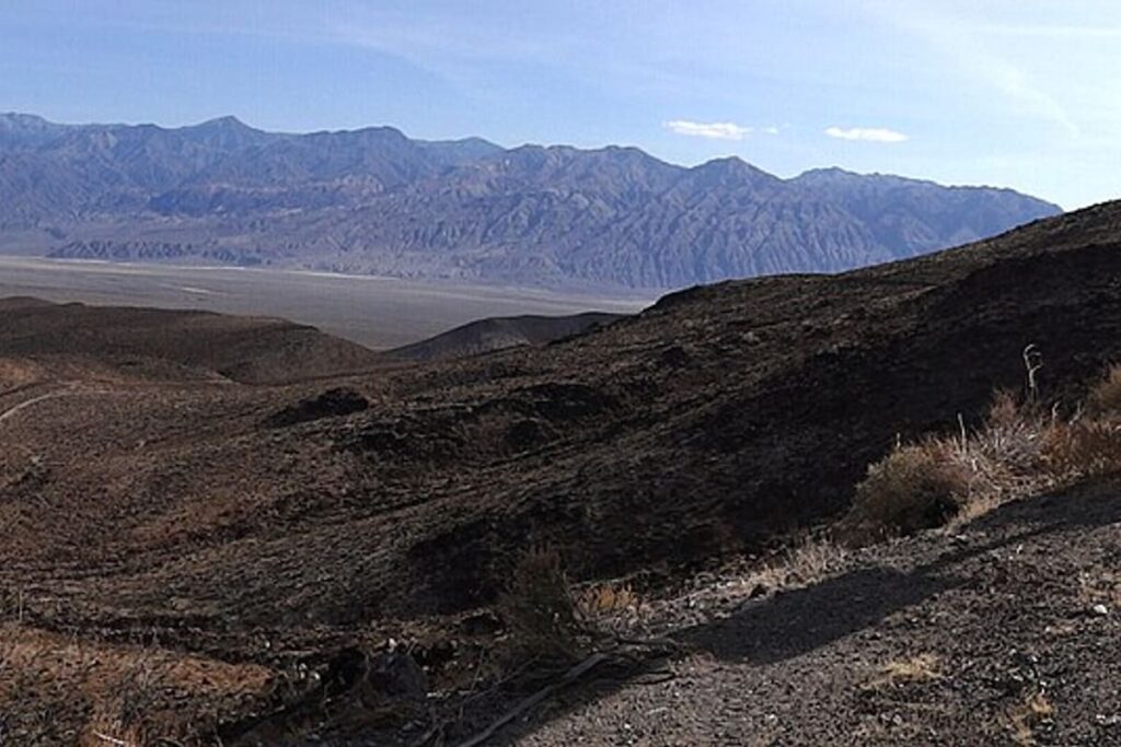 Mojave Desert