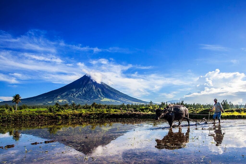 Mount Mayon
