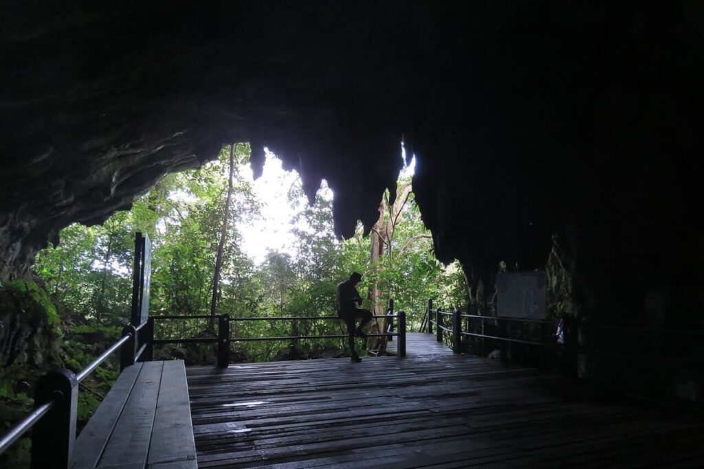 Mulu Caves (Gunung Mulu)