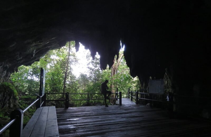 Mulu Caves (Gunung Mulu)